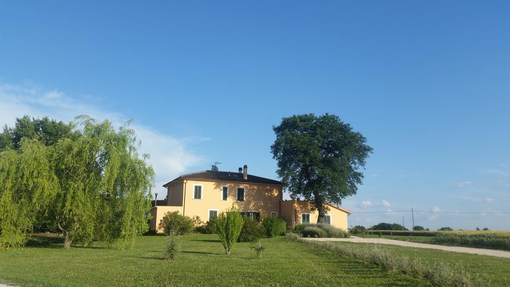 B&B Le Rose Spello Kültér fotó